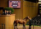 Hip 86 Bernardini-Private Status sold for $800,000 at Keeneland Yearling Sales