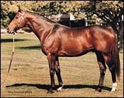 Fasig-Tipton Midlantic Sale Gets Off To Shaky Start Fasig-Tipton Midlantic Sale Gets Off To Shaky Start