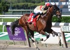 Le Grand Cru won the 2009 Kelso Handicap and is back in 2010.<br><a target="blank" href="http://www.bloodhorse.com/horse-racing/photo-store?ref=http%3A%2F%2Fpictopia.com%2Fperl%2Fgal%3Fprovider_id%3D368%26ptp_photo_id%3D8531975%26ref%3Dstory">Order This Photo</a>