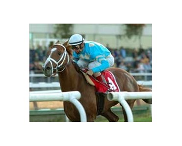 English Channel lays claim to Turf title with Hirsch Classic win.<br><a target="blank" href="http://www.bloodhorse.com/horse-racing/photo-store?ref=http%3A%2F%2Fpictopia.com%2Fperl%2Fgal%3Fgallery_id%3D6823%26process%3Dgallery%26provider_id%3D368%26ptp_photo_id%3D588881%26sequencenum%3D%26page%3D">Order This Photo</a>