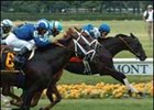 Better Talk Now gets by English English Channel and Shakis to take the Manhattan.<br><a target="blank" href="http://www.bloodhorse.com/horse-racing/photo-store?ref=http%3A%2F%2Fpictopia.com%2Fperl%2Fgal%3Fprovider_id%3D368%26ptp_photo_id%3D1398822%26ref%3Dstory">Order This Photo</a>