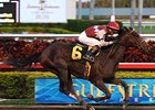 Gulfstream Park allowance winner Theregoesjojo was one of several Blue Grass hopefuls to workout at Keeneland on April 6.