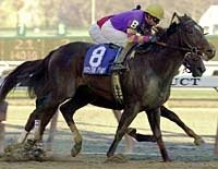 Aqueduct Report: Boston Party Wins Stakes Debut Aqueduct Report: Boston Party Wins Stakes Debut