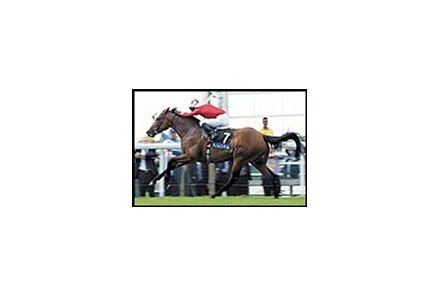 Rock of Gibraltar winning the St. James's Stakes.