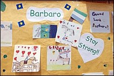 Belmont Patrons Can Sign 'World's Largest Get Well Card' for Barbaro Belmont Patrons Can Sign 'World's Largest Get Well Card' for Barbaro