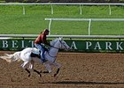 Belterra Park to Open; No VLT Contract Yet Belterra Park to Open; No VLT Contract Yet