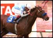 Tranquility Lake Earns Repeat Win in Palomar Handicap Tranquility Lake Earns Repeat Win in Palomar Handicap