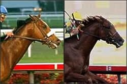 Derby Wager Action Picks Up on Barbaro, 'Contender Derby Wager Action Picks Up on Barbaro, 'Contender