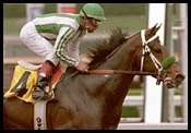 Officer Scratched from Lexington Stakes Officer Scratched from Lexington Stakes
