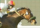 Jose Valdivia guides Meteor Storm to the win in the San Luis Rey Handicap, Saturday at Santa Anita.