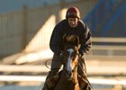 Imperial Monarch stretching his legs at Woodbine on October 11.