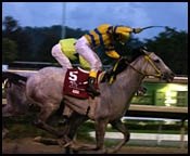Homeister Makes History in Puerto Rico; Wins Clasico del Caribe Homeister Makes History in Puerto Rico; Wins Clasico del Caribe