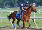 Coil working at Saratoga