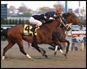 Cat Cay Pounces on Tugger for Top Flight Win Cat Cay Pounces on Tugger for Top Flight Win