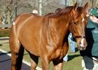 Three Horses Bring Six Figures Early at F-T Three Horses Bring Six Figures Early at F-T