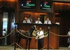 OBS Mixed Sale Suffers Major Losses OBS Mixed Sale Suffers Major Losses