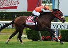 Mission Approved upsets the Woodford Reserve Manhattan Handicap.<br><a target="blank" href="http://www.bloodhorse.com/horse-racing/photo-store?ref=http%3A%2F%2Fpictopia.com%2Fperl%2Fgal%3Fprovider_id%3D368%26ptp_photo_id%3D9561760%26ref%3Dstory">Order This Photo</a>
