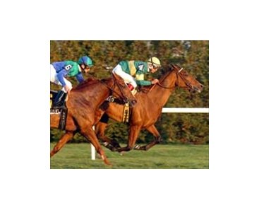 Olaya holds off Spotlight to win her U.S. debut.