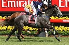 New Zealand-Bred Efficient Takes Melbourne Cup New Zealand-Bred Efficient Takes Melbourne Cup