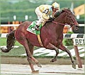 Champion Beautiful Pleasure Produces First Foal Champion Beautiful Pleasure Produces First Foal