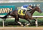 Razor-Sharp Purim Sinks 'Harbor at Oaklawn Razor-Sharp Purim Sinks 'Harbor at Oaklawn
