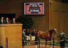 Azeri's First Foal Fails to Sell Azeri's First Foal Fails to Sell