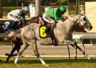 California Flag wins the Morvich Stakes.