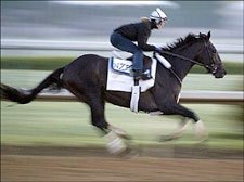 Bellamy Road 5-2 in Advance Wagering Bellamy Road 5-2 in Advance Wagering