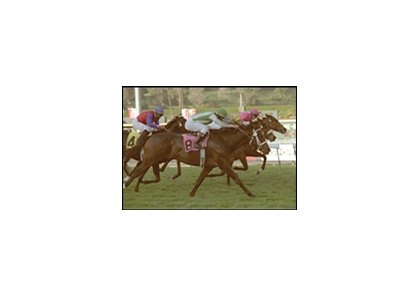 Johar (#8) readies to catch The Tin Man (#3) and Grammarian (#1) to win the San Marcos Stakes.