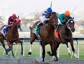 Chocolate Candy Impressive in Cal Derby Chocolate Candy Impressive in Cal Derby