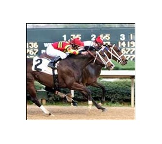 Round Pond (inside) survives a tough duel with Happy Ticket (2) to win the Azeri BC, Saturday at Oaklawn Park.