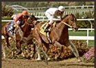 Kona Gold holds off No Armistice in the Los Angeles Handicap.