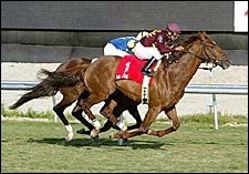 World-Record Setter Mr. Light Retired to Mill Ridge World-Record Setter Mr. Light Retired to Mill Ridge