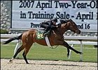 Mineshaft filly, worked eighth of a mile in preparation for Keeneland 2-year-old sale.
