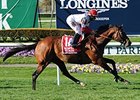 Big Blue Kitten pulls away to victory in the Fort Marcy.<br><a target="blank" href="http://photos.bloodhorse.com/AtTheRaces-1/At-the-Races-2015/i-2Dw6HhV">Order This Photo</a>