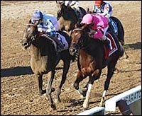 Valid Video is BC Sprint-Bound Valid Video is BC Sprint-Bound