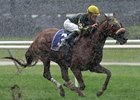 Pure Clan splashes home in the Flower Bowl. <br><a target="blank" href="http://www.bloodhorse.com/horse-racing/photo-store?ref=http%3A%2F%2Fpictopia.com%2Fperl%2Fgal%3Fprovider_id%3D368%26ptp_photo_id%3D8530568%26ref%3Dstory">Order This Photo</a>