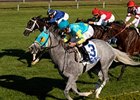 Thorn Song won the Shadwell Turf Mile at Keeneland in Oct., 2008. <br><a target="blank" href="http://www.bloodhorse.com/horse-racing/photo-store?ref=http%3A%2F%2Fgallery.pictopia.com%2Fbloodhorse%2Fgallery%2FS697006%2Fphoto%2F6183793%2F%3Fo%3D0">Order This Photo</a>