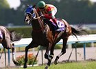 Jaguar Mail wins Japan's most prestigious and longest flat race, the $3.1 million Tenno Sho at Kyoto Racecourse.