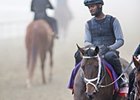 'Little Zenyatta' Ready for Juvenile Fillies 'Little Zenyatta' Ready for Juvenile Fillies