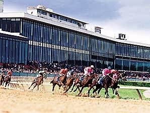 Potential Aplenty in Smarty Jones Potential Aplenty in Smarty Jones