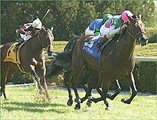 Intercontinental Takes Off in Jenny Wiley Intercontinental Takes Off in Jenny Wiley