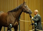 Miss Catalyst, winner of the 2009 Pebbles Stakes at Belmont Park, brought the session's top price of $325,000.