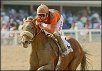 Blazonry Finds Winning Trail in Laz Barrera Blazonry Finds Winning Trail in Laz Barrera