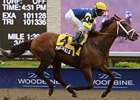 Marchfield is in control in the Dominion Day Stakes at Woodbine.