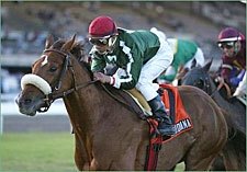 Meridiana Sneaks Off with Orchid Handicap Meridiana Sneaks Off with Orchid Handicap