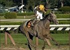 Irish Smoke and Julien Leparoux win the Spinaway Stakes at Saratoga.<br><a target="blank" href="http://www.bloodhorse.com/horse-racing/photo-store?ref=http%3A%2F%2Fpictopia.com%2Fperl%2Fgal%3Fprovider_id%3D368%26ptp_photo_id%3D2167906%26ref%3Dstory">Order This Photo</a>