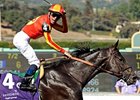 2-time Breeders' Cup Sprint Winner Midnight Lute<br><a target="blank" href="http://www.bloodhorse.com/horse-racing/photo-store?ref=http%3A%2F%2Fpictopia.com%2Fperl%2Fgal%3Fprovider_id%3D368%26ptp_photo_id%3D6473503%26ref%3Dstory">Order This Photo</a>