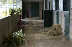 Kentucky Downs Moves Festival Card to Tuesday Kentucky Downs Moves Festival Card to Tuesday