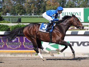 Grade I Winner Girolamo to Stand at Sequel Grade I Winner Girolamo to Stand at Sequel